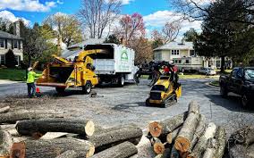 Best Emergency Tree Removal  in Macom, IL